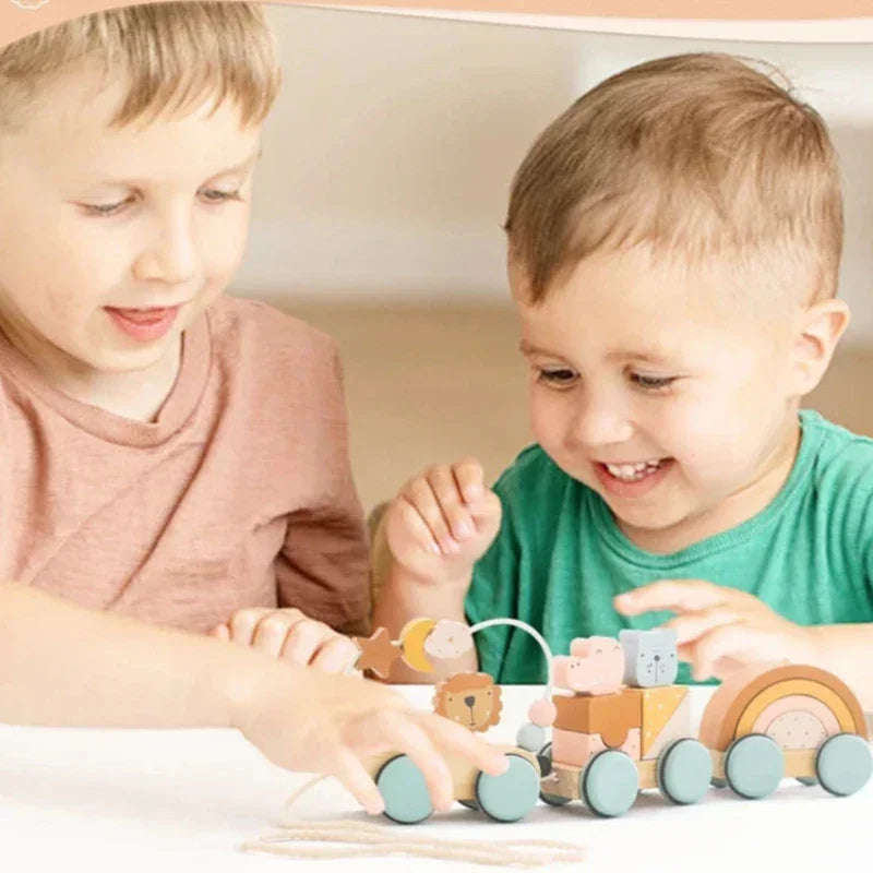 Trenzinho Infantil de Madeira Colorido Lenogue Mod. 01