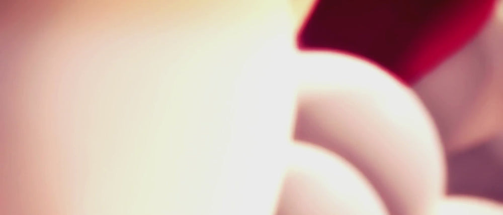 BANNER HORIZONTAL LENOGUE (1920 x 820 px) (1)_d5500616-5f61-4993-9c55-2c0398b5f6b4

